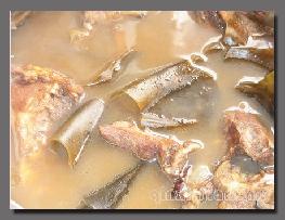 �Ŀݲݺ��������ǵ�����