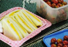 �Ϲ�ɳ�������ε�����