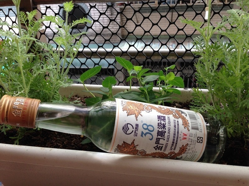 ��ƶ�������������