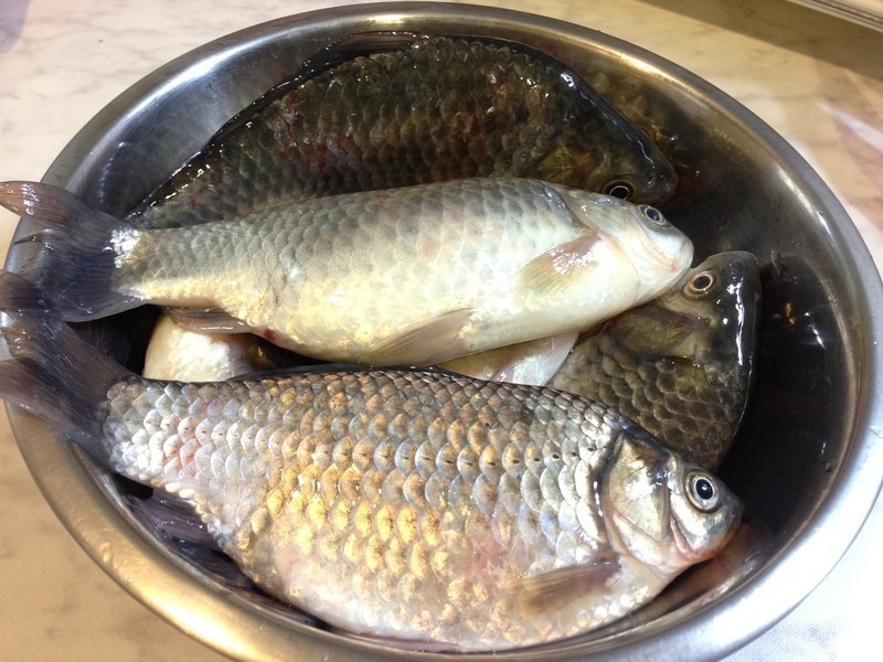 ��ƶ�������������