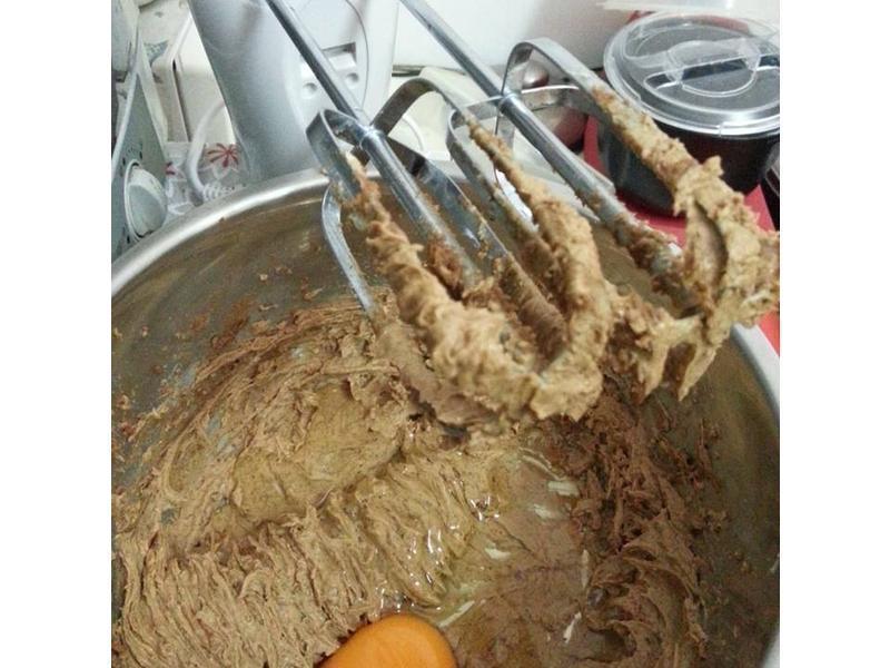 ��ʥ�ڡ� ������ָ���ɡ������