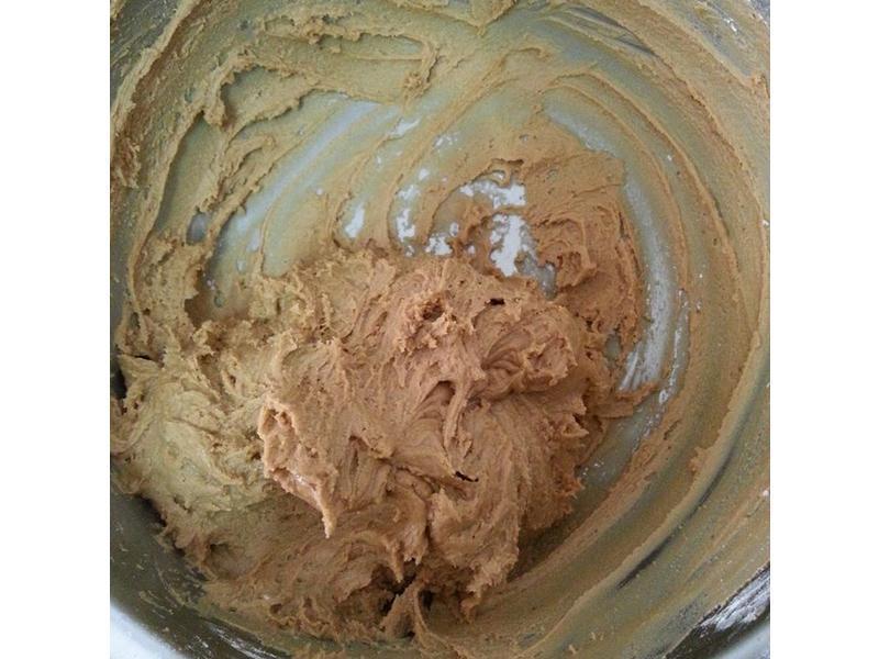 ��ʥ�ڡ� ������ָ���ɡ������