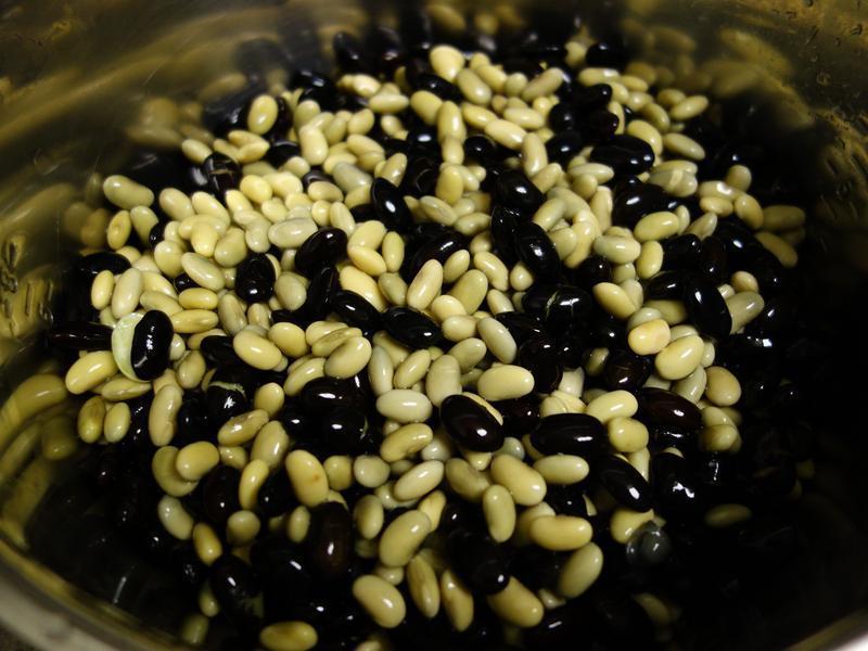 �ڶ���������