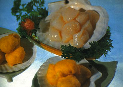 �ʱ�Ϻ��Բ�ӵ�����