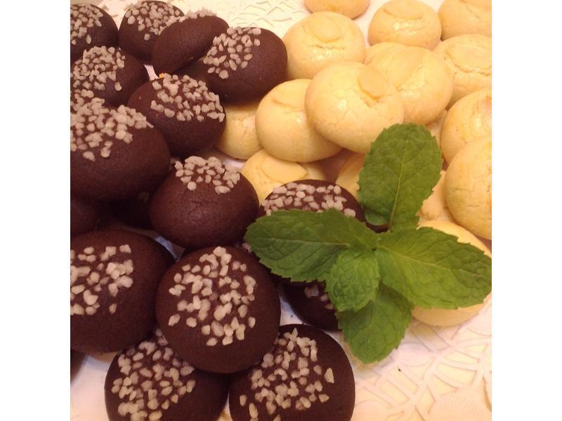 �������ɿ����� vs ����ѩ�������