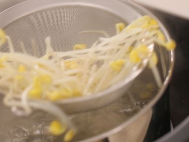 ��ʽ�ݲ˳������������