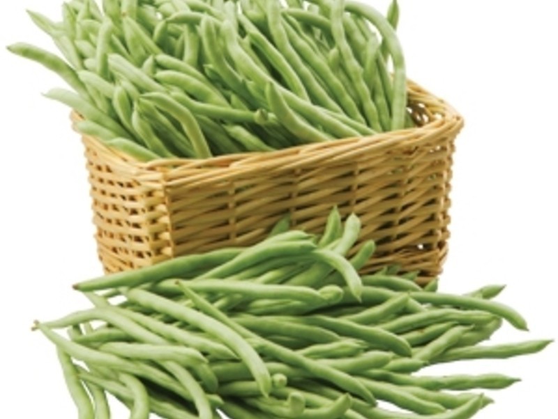 ���齴�����ļ���(������)������