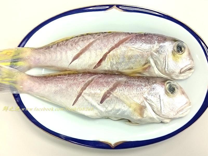 �����ͷ�㡾��֮����������