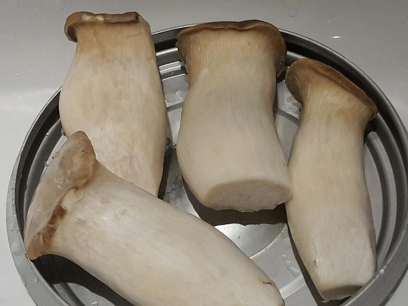 �����ӱ�������������