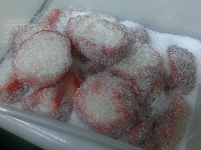 �������ζ�Ĳ�ݮ����������