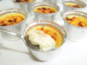 �������ײ���������