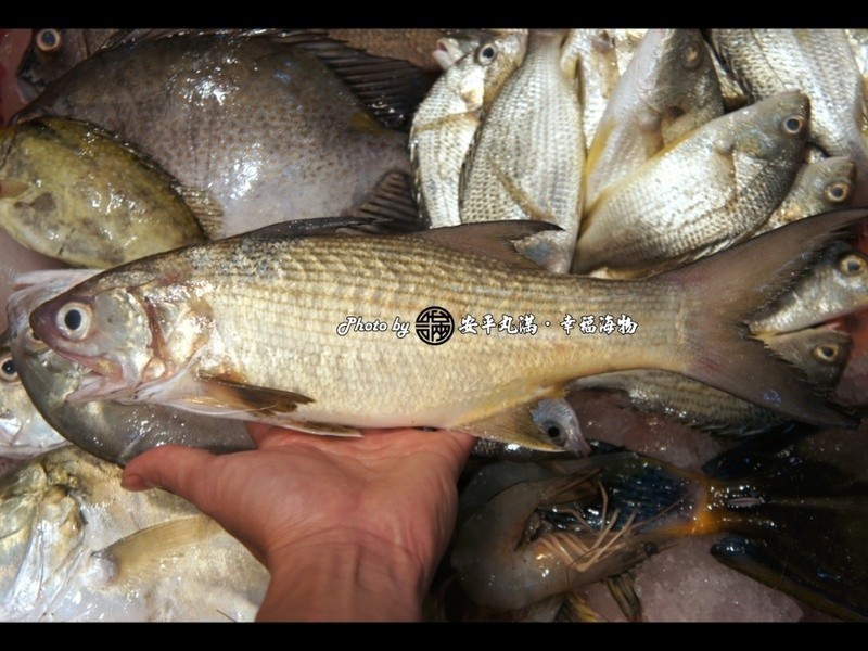 ����������������ոɵ�����