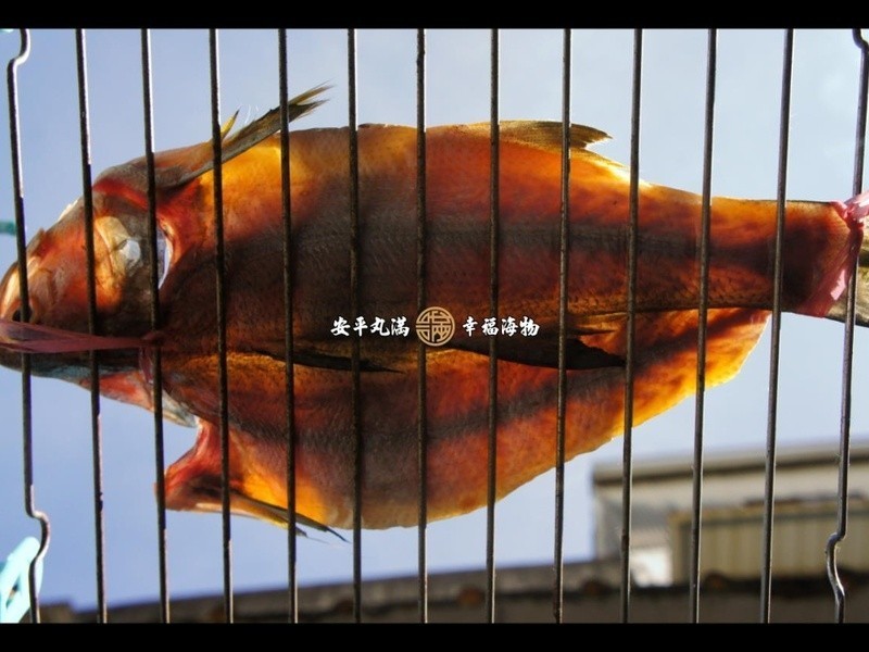 ����������������ոɵ�����