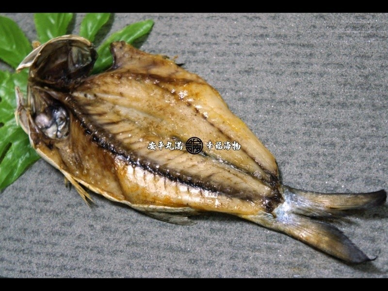 ����������������ոɵ�����