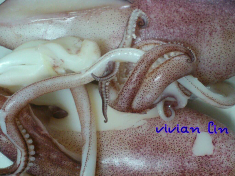 ̩ʽ��˿??������