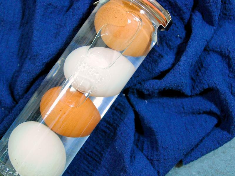 ������Ѽ�����̵��Ƶ�����