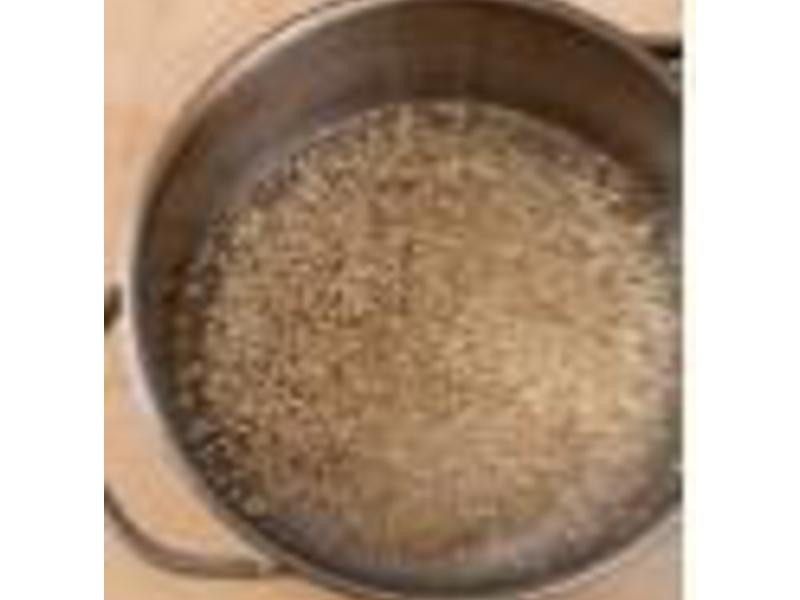 ��԰��������������