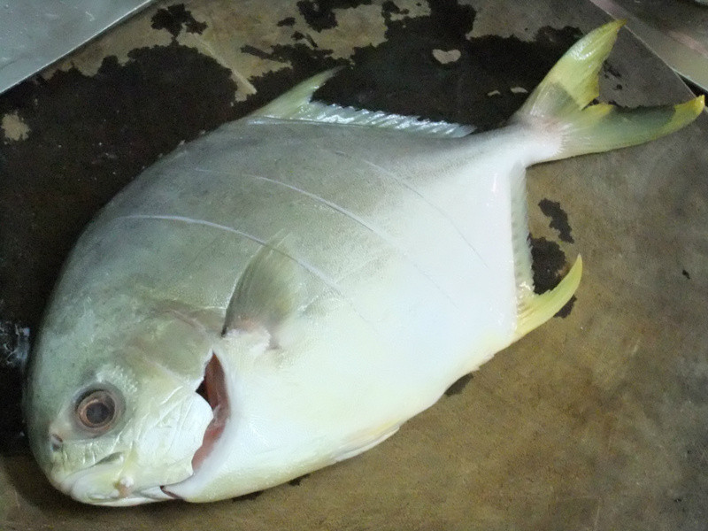 ������������ɼ�㡻������