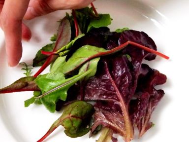 ��ǹ�����ɳ��������