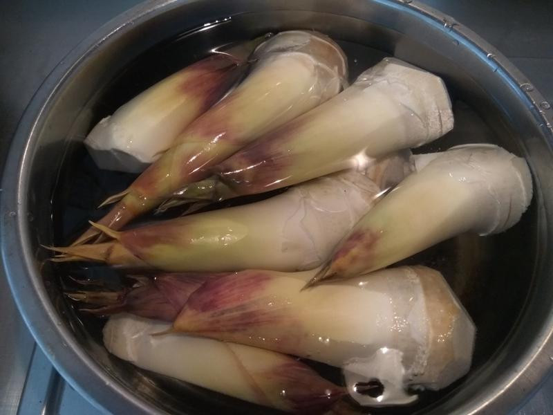 �h�����������������