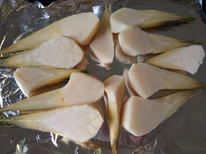 �h�����������������