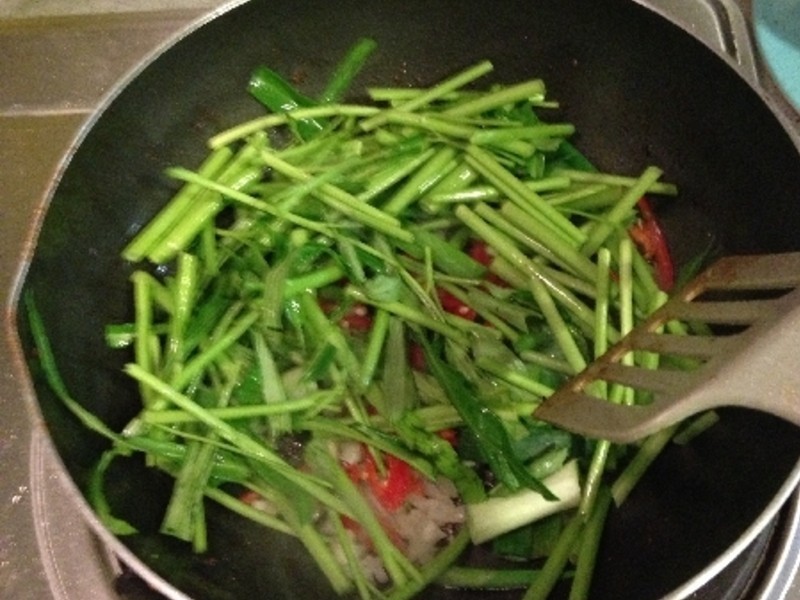 Ʈ��ɳ��ţ�������