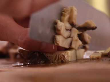 ��������Ŵ�׼�������