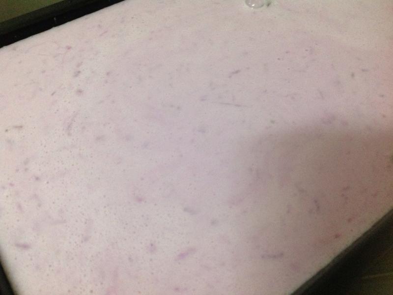 ��Խݮ��ɽҩ�⣨ӥ�����飩������