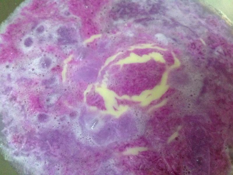 ��Խݮ��ɽҩ�⣨ӥ�����飩������