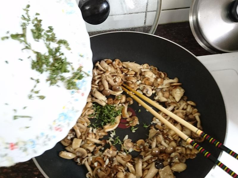 ��ʽ����Ģ��������