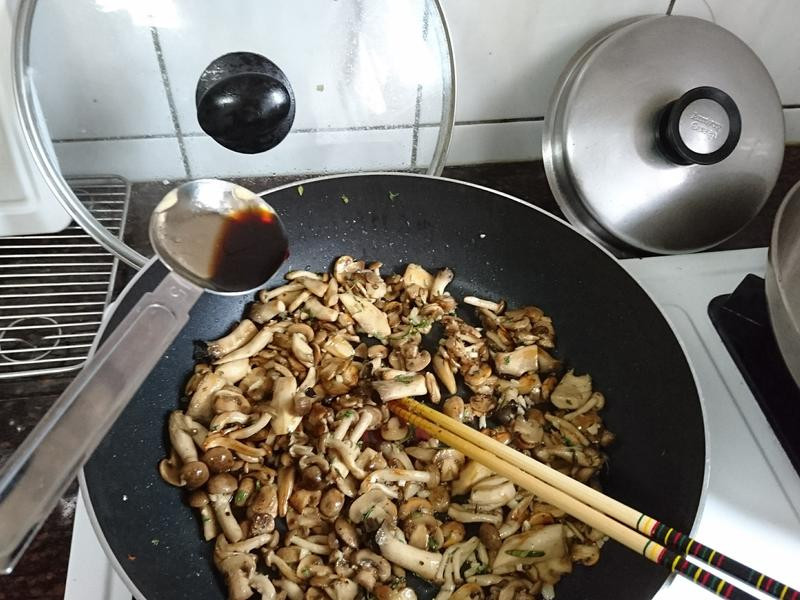 ��ʽ����Ģ��������