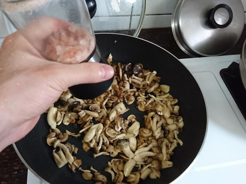 ��ʽ����Ģ��������