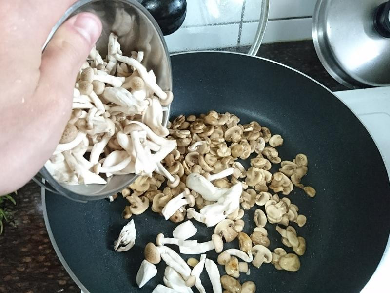 ��ʽ����Ģ��������