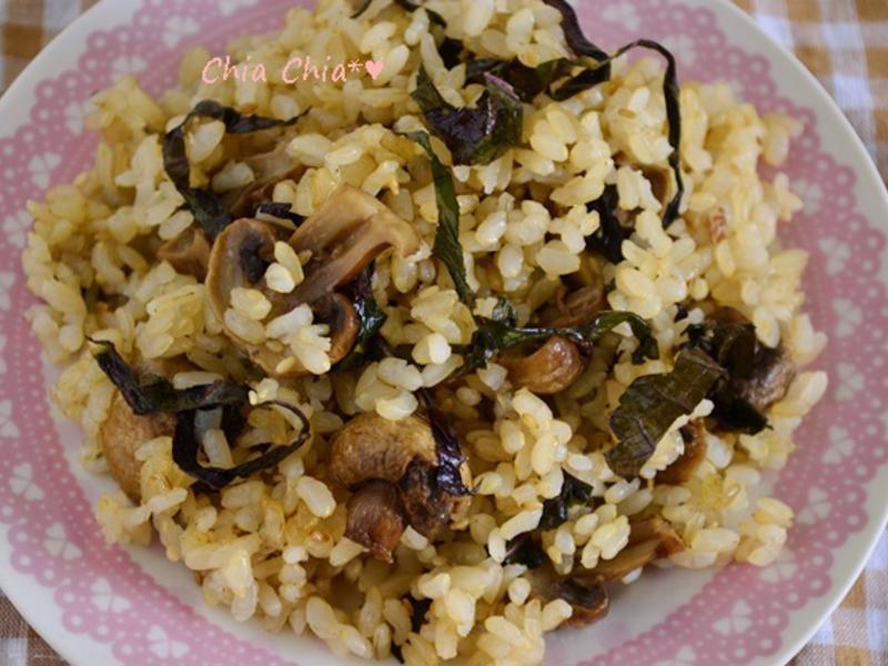 Ģ��֥�鴶��������