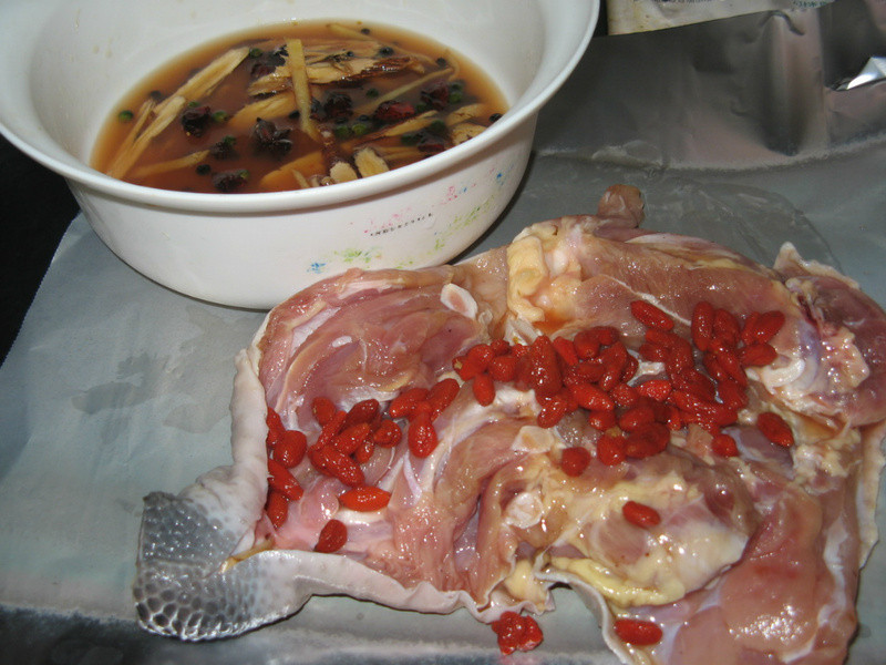 �������Ⱦ�������