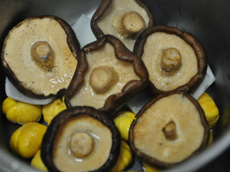 �ʹ�����������������