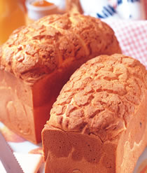 ������˾������