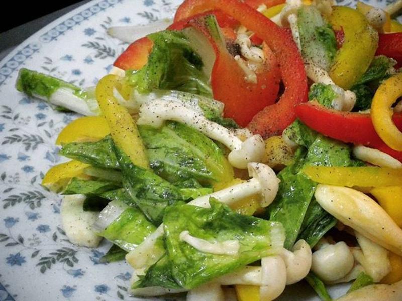 ���𽷰ײ˹���������