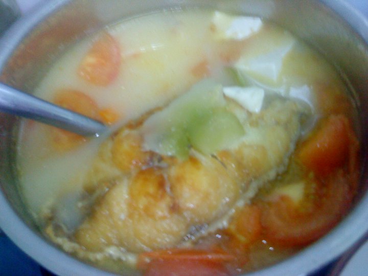 ���Ѷ�����Ƭ��������