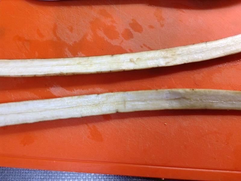 ��ʳ������������