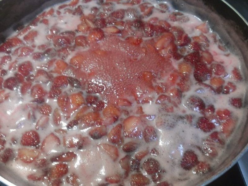 ���ʲ�ݮ����������