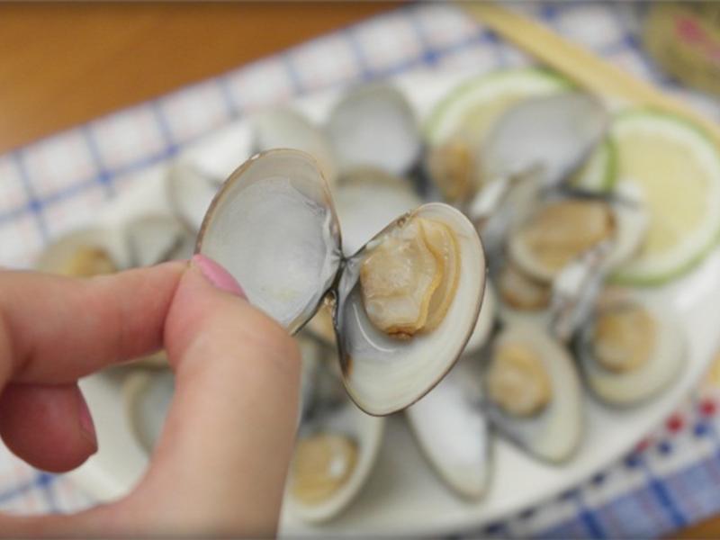 ����������ο�����!!������