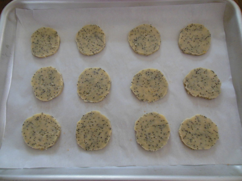 ����Ӥ���ѱ��ɵ�����