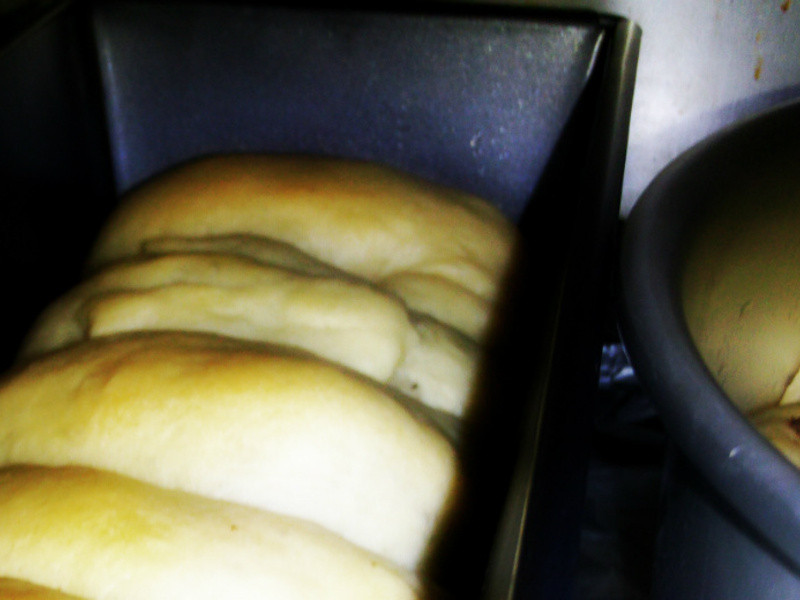 �ɿ���������˾������