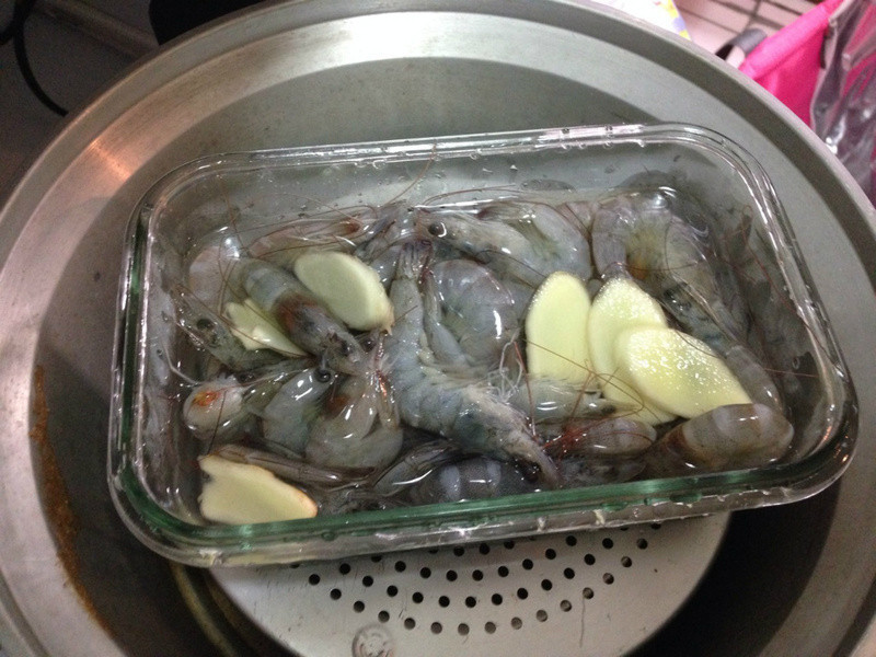 Vanessa������-�׾���Ϻ(���׵������)������