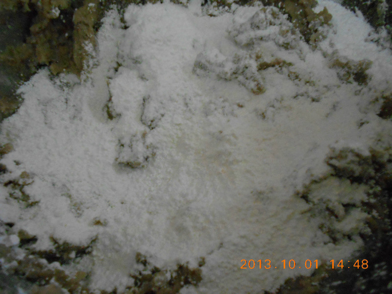 Y�ҵ�С����--�ֹ���Բ������