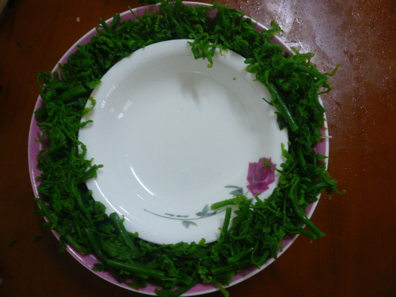 ������������衹����һ�ĵ�����