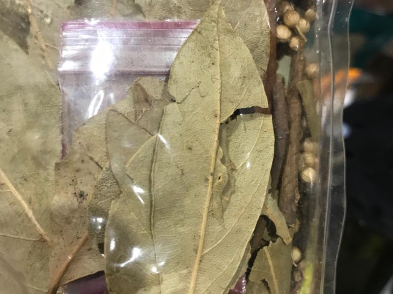 ���â�����ţ�������