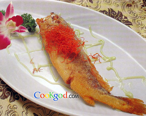 ��Ƥ�ƻ��������