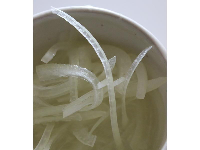 ����͸��ɳ��������